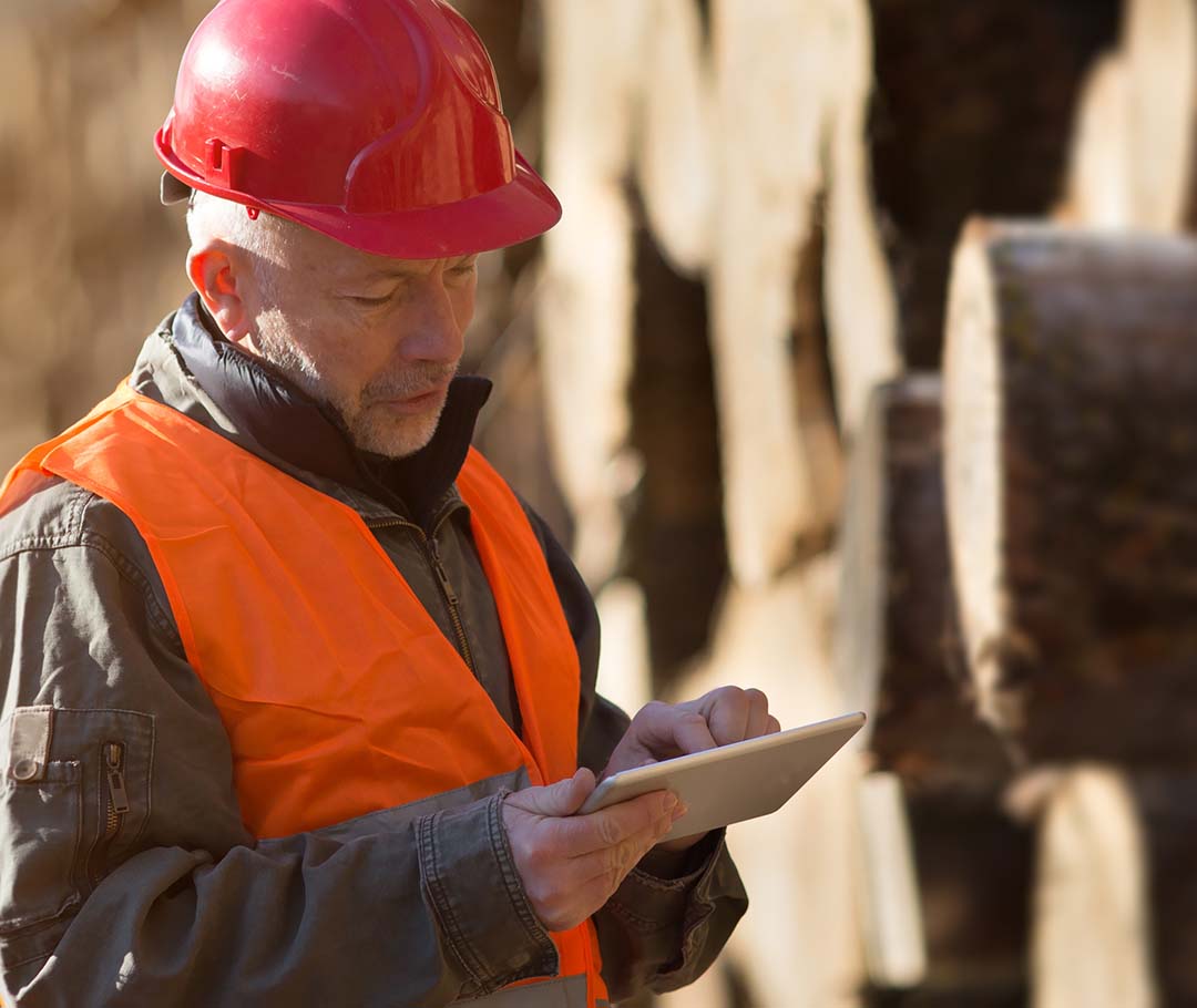 bc-forest-industry-worker